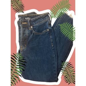 Old navy OG straight